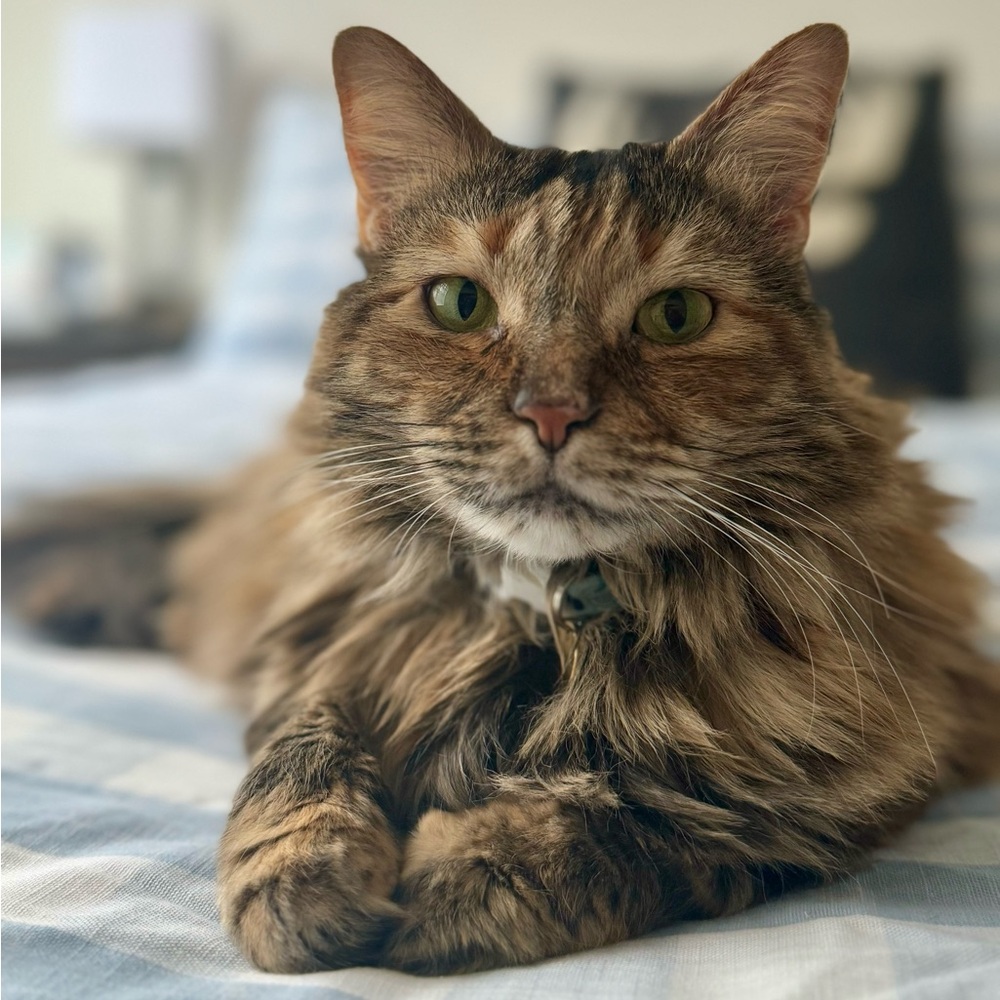 Meet your Posher, Hannah